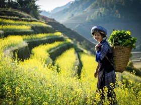 Image: The 5 most beautiful tourist destinations in the North can not be missed