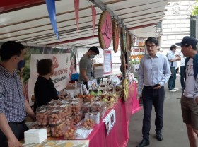 Image: First outdoor Vietnamese cuisine festival held in Paris