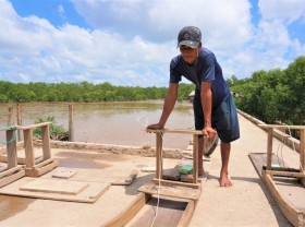 Image: Strange job in the West: The man for 30 years surfed on the mud to catch fish