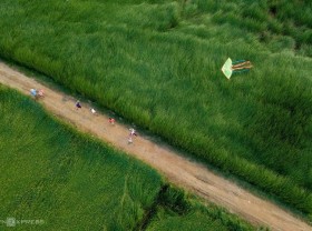 Image: The sedge harvest season in the tatami village is more than 100 years old