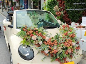 Image: Wedding car decorated with Bac Giang lychees goes viral