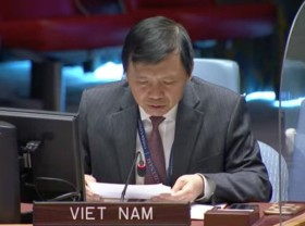 Image: Vietnam worried about continued violence, extreme racial discrimination