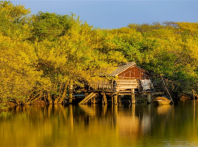 Image: Getting lost in Hue's beautiful Ru Cha forest