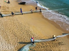 Image: In Photos Fishermen in Da Nang pull up fishing nets