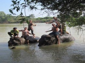 Image: Top ten most stunning national parks in Vietnam