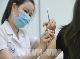 Image: Urgent approval sought for Vietnam’s Nano Covax vaccine candidate