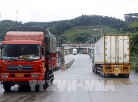 Image: Vaccine passports proposed for drivers transporting farm produce through border gates