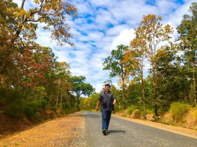 Image: Yok Don National Park – a dream place in the middle of a thousand for nature lovers