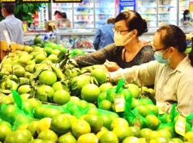 Image: 537 focal points to provide agricultural products for southern provinces connected