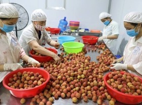 Image: Australia provides US$2 million to strengthen trade opportunities with Vietnam
