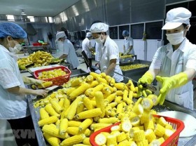 Image: Farm exports expected at US$45 billion this year