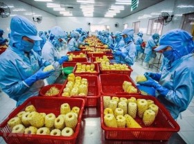 Image: Fruit, vegetable exports rise 17.4% in H1