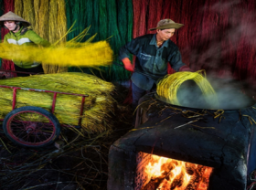 Image: Vietnam Receives Three Honorable Mentions At International Photo Contest