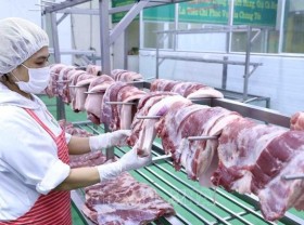 Image: Live pig prices lowest in two years