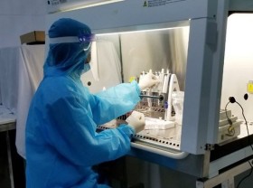 Image: Vietnam logs additional 263 domestic-transmitted COVID-19 cases