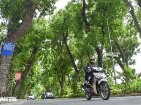 Image: Roads to help “cool off” in the middle of a hot day in Hanoi