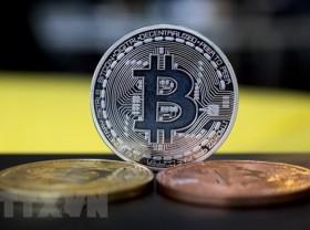 Image: SBV asked to weigh piloting virtual currencies