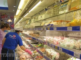 Image: Steering committee for goods supply for HCMC, southern localities established