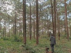 Image: The boy in Saigon fell in love with Da Lat, leaving the street to the forest