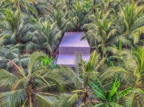 Image: The peaceful land of Ben Tre coconut