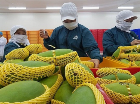 Image: UK represents a potential export market for Vietnamese fruit and vegetables