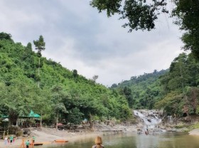 Image: ‘Hidden’ at Yang Bay Park Immerse yourself in the wild nature