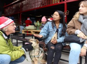 Image: The secret life of Hanoi’s pet rescuers
