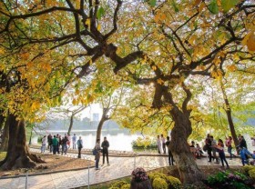 Image: Self-sufficient travel experience in Hanoi from A-Z