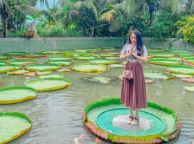 Image: Visit the unique Lotus Temple in Dong Thap pink lotus country