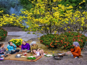 Image: A glimpse into Hau Giang s peaceful countryside