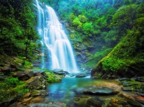 Image: Traveling to Khe Kem Waterfall – a fairyland in Nghe An