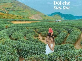 Image: What is the best season to travel to Moc Chau?