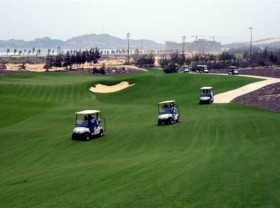 Image: Binh Dinh officials suspended from work for playing golf amid Covid-19