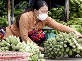Image: Ca Mau eyes annual growth of 8% in agricultural exports