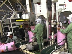 Image: Rice exports hoped to recover after COVID-19 controlled: insiders