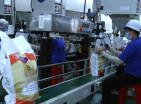 Image: Urgent actions needed to promptly resolve difficulties facing Vietnamese rice exporters