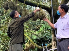 Image: Vietnam to review 20 years of collective economic development
