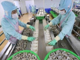 Image: Chinese firms keen on purchasing Vietnam’s fishery products