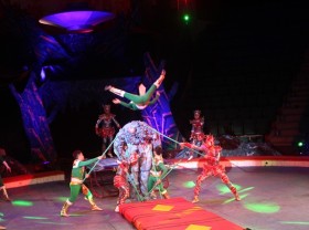 Image: Circus artists long to be back on stage with new shows