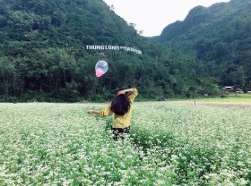 Image: Discover Bac Son flower valley – the largest flower field in Vietnam