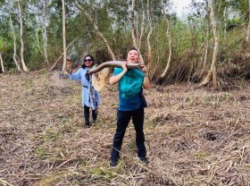 Image: ‘Eating bees’ in the southernmost part of the country