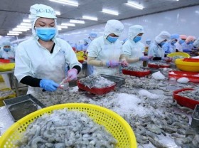 Image: Food processing workers should be given priority for Covid-19 vaccination: Ministry