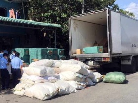 Image: HCMC detects over 300,000 medical products allegedly smuggled from China