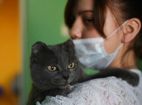 Image: Covid 19 Patients Warn of Pets And How To Care Your Pets During Pandemic