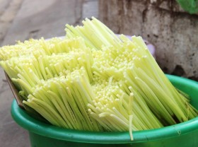 Image: Strange weeds become “money-making” vegetables of the West