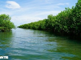 Image: There is a river area “Western” in the heart of Thi Nai lagoon