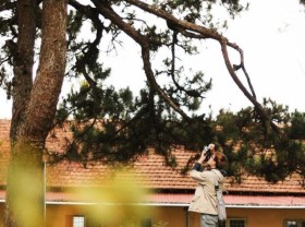 Image: Abandoned places in Da Lat are divine check-in places for traveling believers