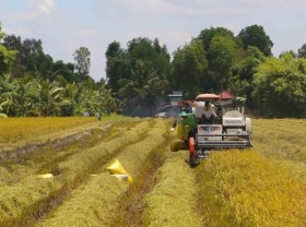Image: Trade ministry calls for easier access to bank credit for rice traders