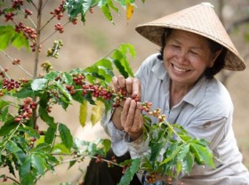Image: Supporting the agri-food sector crucial to Vietnam’s post-pandemic recovery