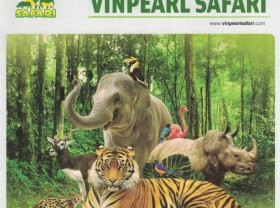 Image: Top 10 most interesting destinations for animal lovers in Vietnam